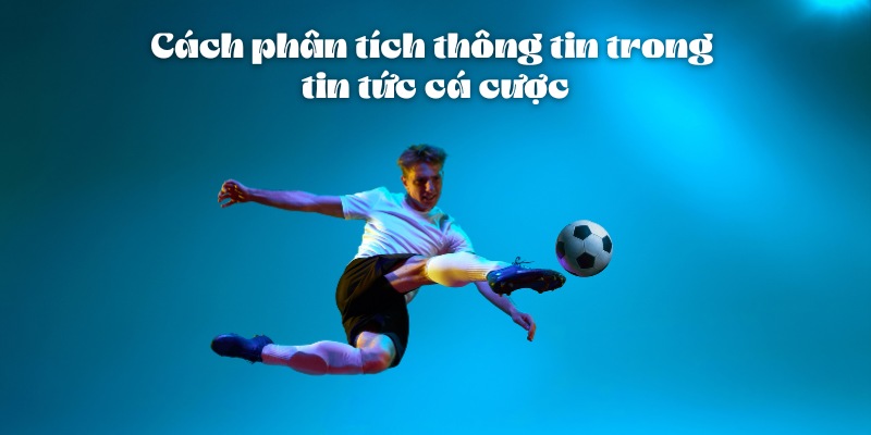 Cách Đọc Tin Tức Cá Cược Hiệu Quả Và Chính Xác Cùng 11bet 3 Cách phân tích thông tin trong tin tức cá cược